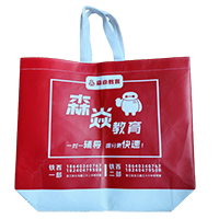 宝山LB37培训班广告袋